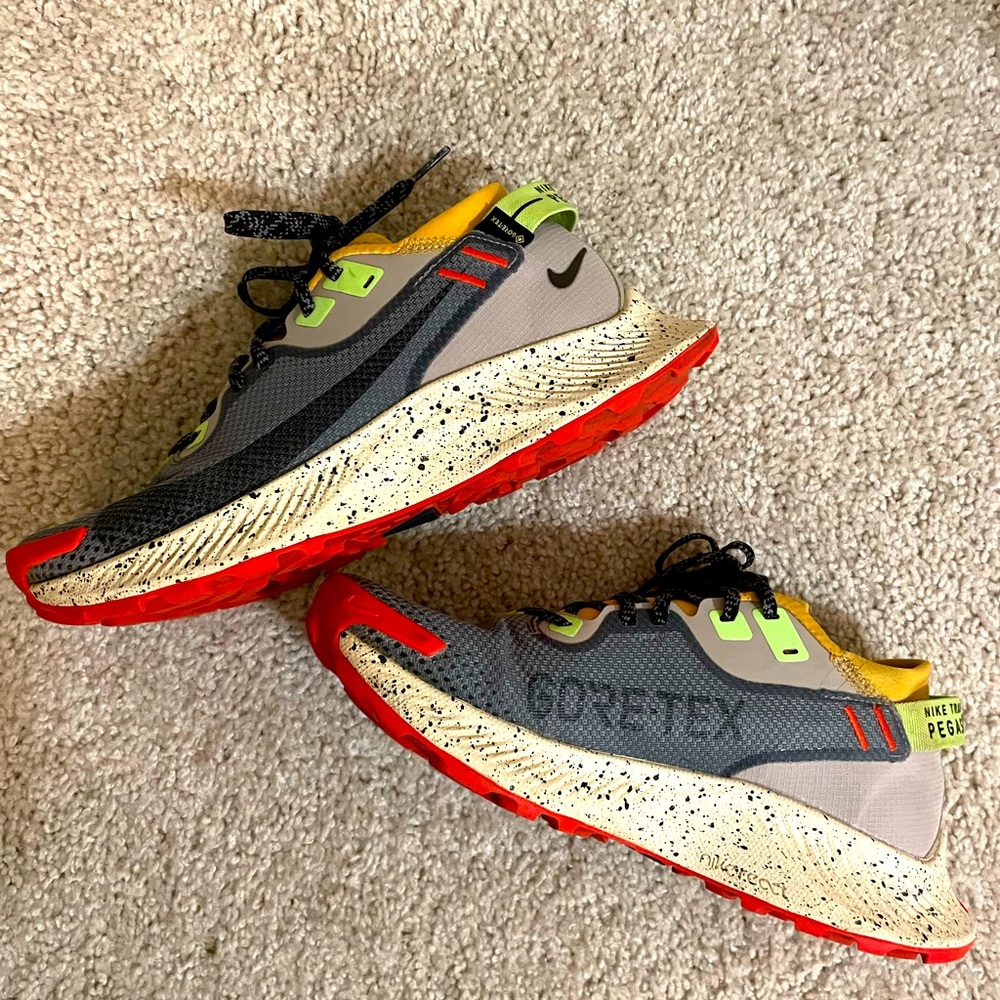 Nike Pegasus Trail Gore Tex